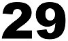 29 inch