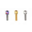 Titanium M6 x 20mm calliper