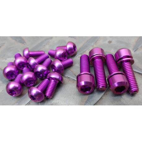 titanium caliper & rotor kit - purple
