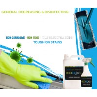 Ecologic All In One 750ml spray