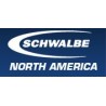 Schwalbe